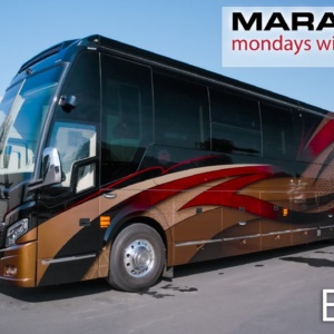 Marathon Mondays with Mal Episode 383 | Featured Image